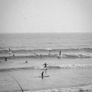 Meet your Posher, Nicholas